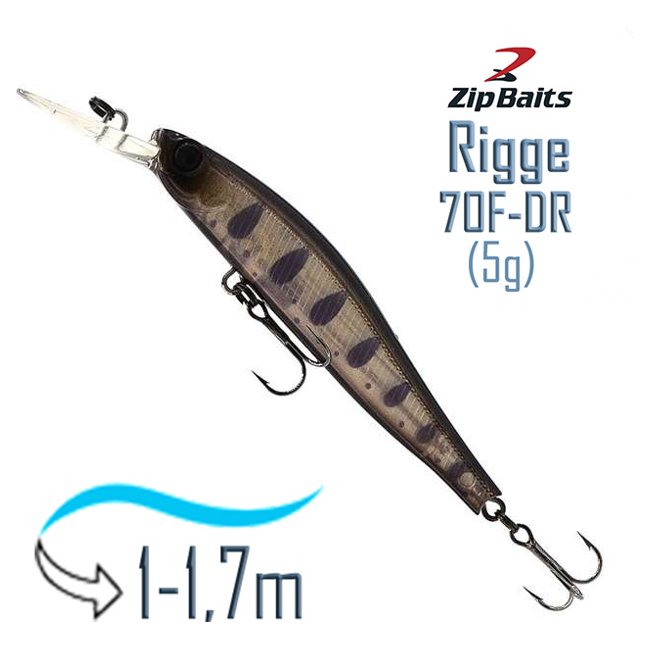 Rigge 70 F-DR-813R